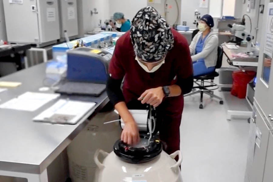 freezing process