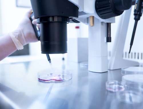 Future trends to watch for in egg donation